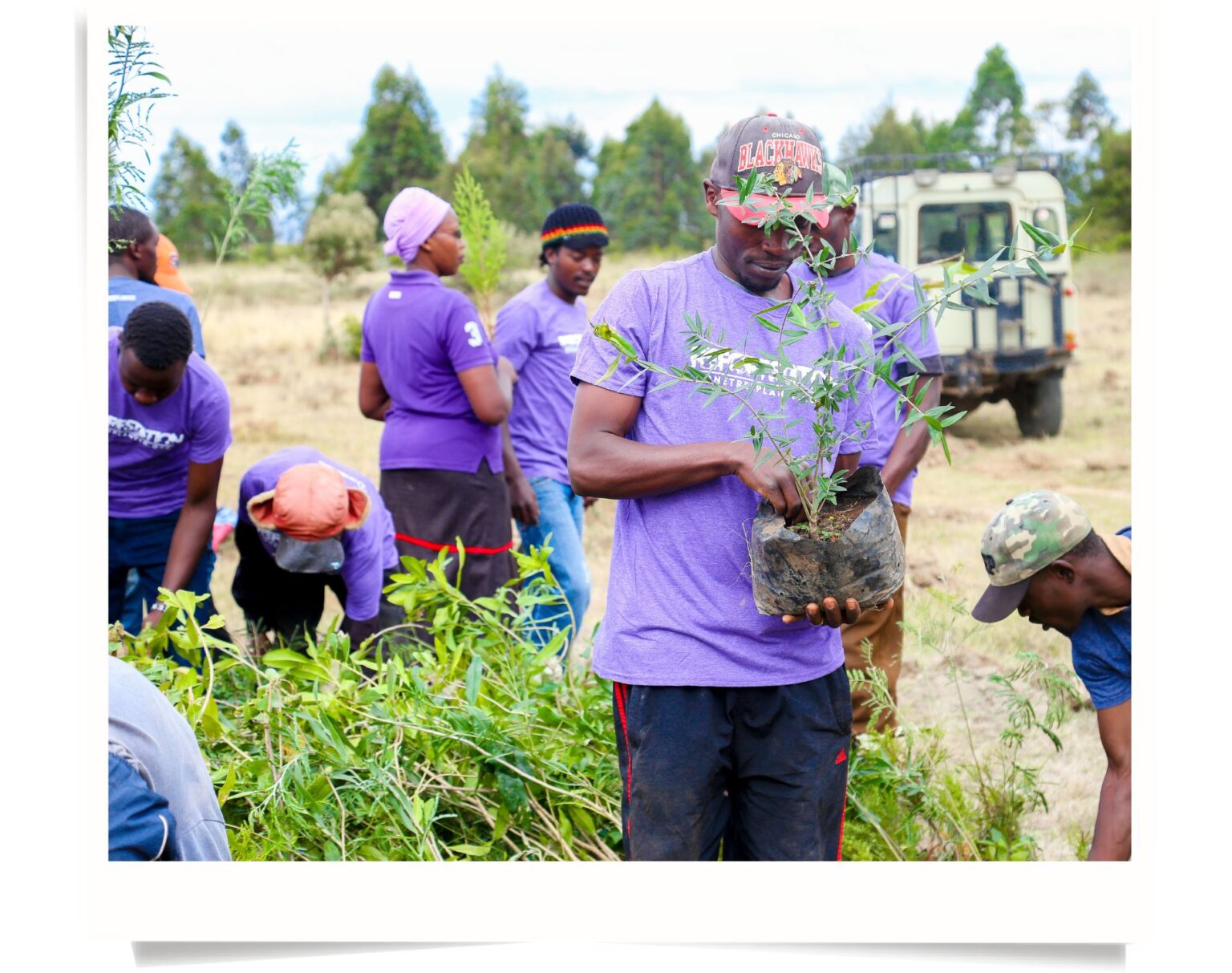 One Tree Planted Reforestation in Kenya - PD Tours & Safaris
