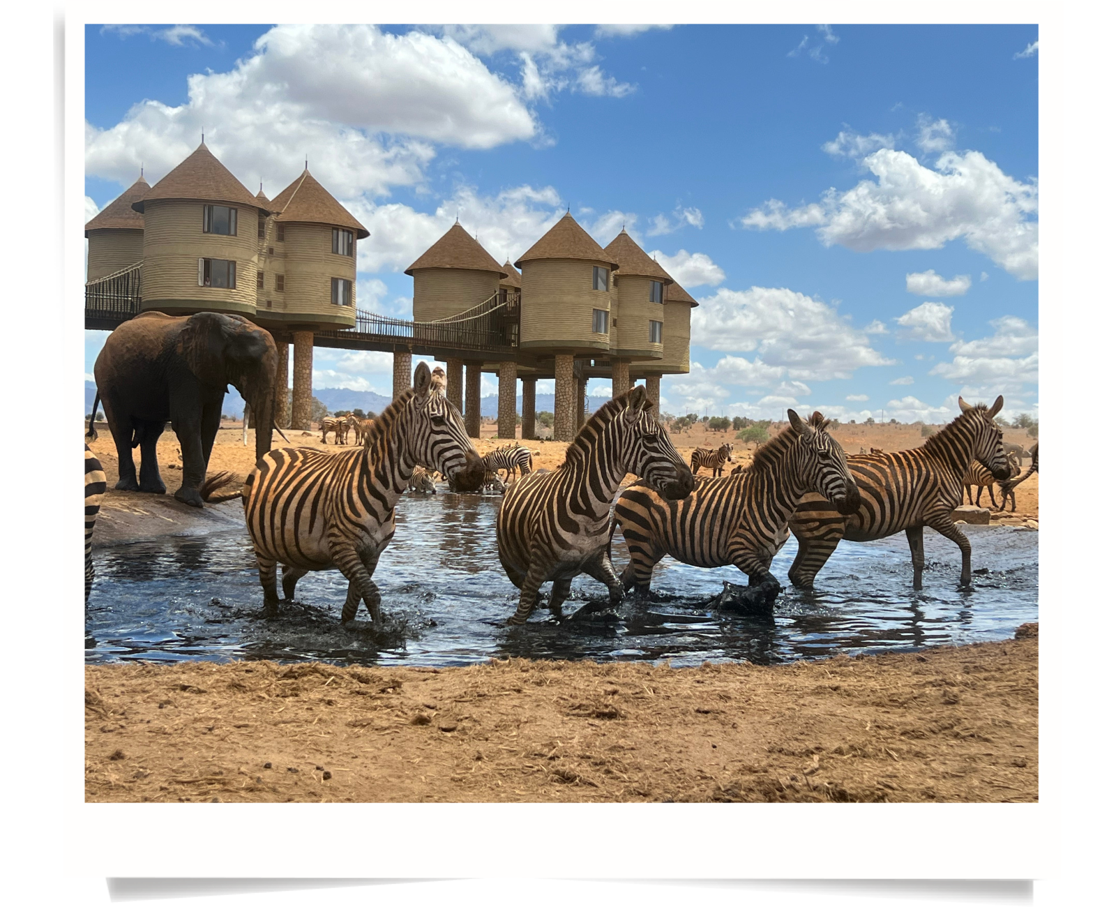 Safari Accommodation Kenya - PD Tours & Safaris