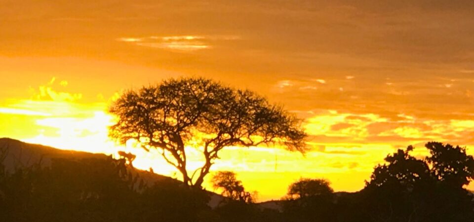 Tsavo East African Sunset - PD Tours & Safaris