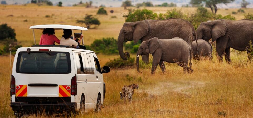 Tsavo East Safari Mini Bus - PD Tours & Safaris