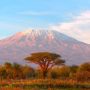 Amboseli National Park - PD Tours & Safari